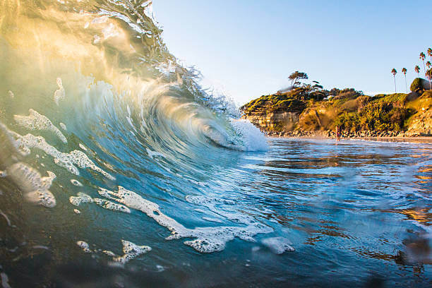 Surf en California